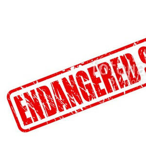 Meet your Posher, Abdelrahman